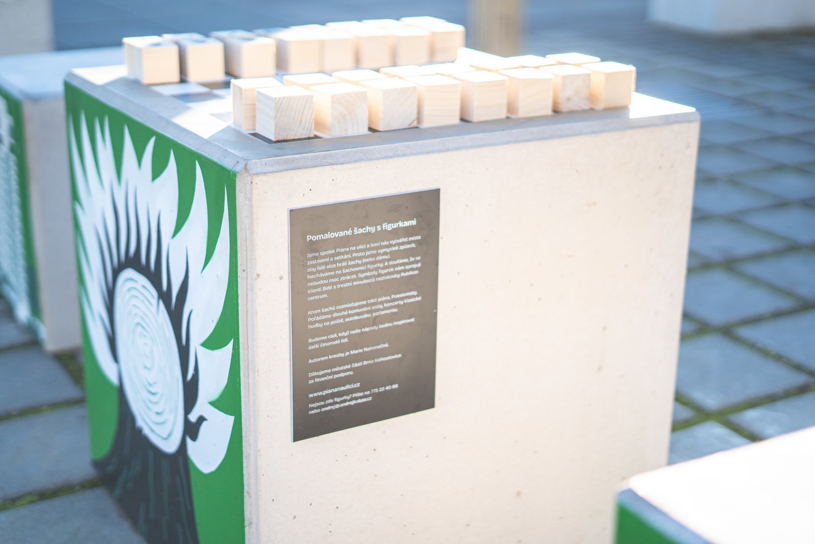 Fotografie 5 projektu Veřejné šachy s figurkami